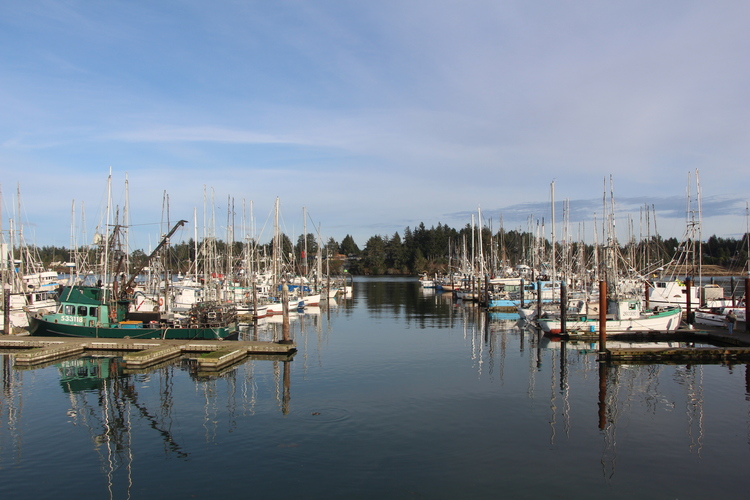 Oregon International Port of Coos Bay.jpeg