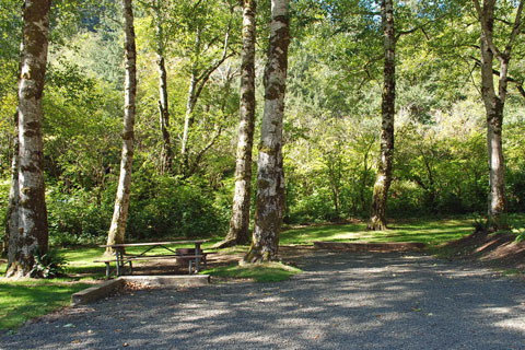 Kilchis River County Campground.jpg
