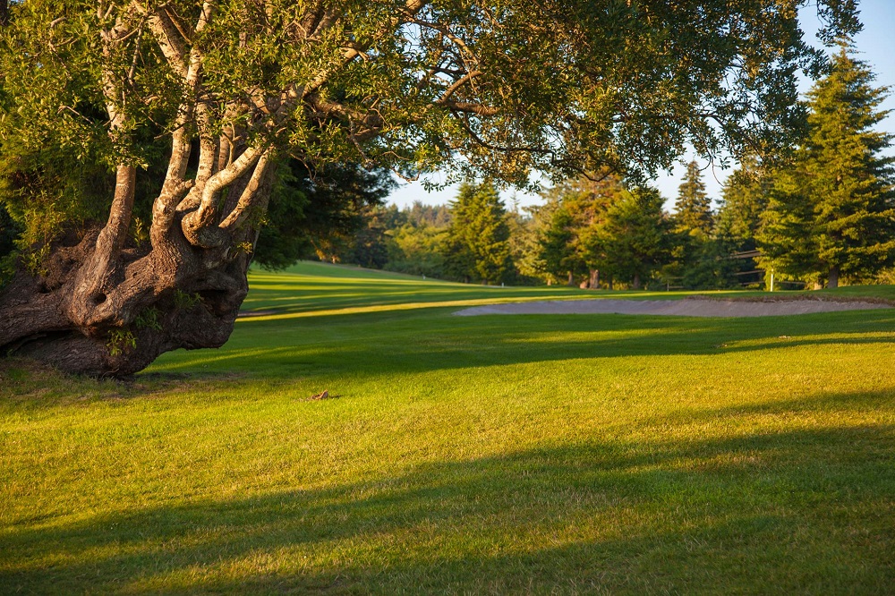 Chinook Winds Resort Golf Course.jpg